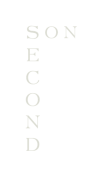 second_son_logo